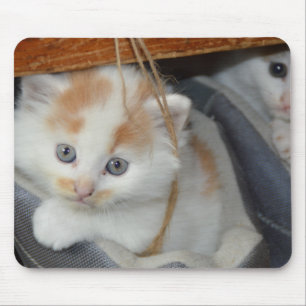 青い目、茶色、白のパッチの適用された子猫ブーツ マウスパッド