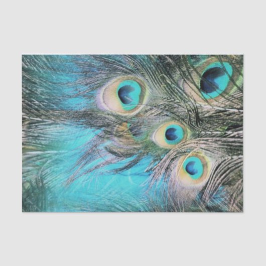 青い目 薄葉紙 (正面)