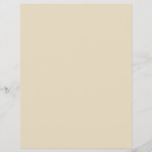 青い目、optician、技術者 チラシ (裏面)