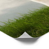 青い眼鏡の白いラマ ポスター (角)