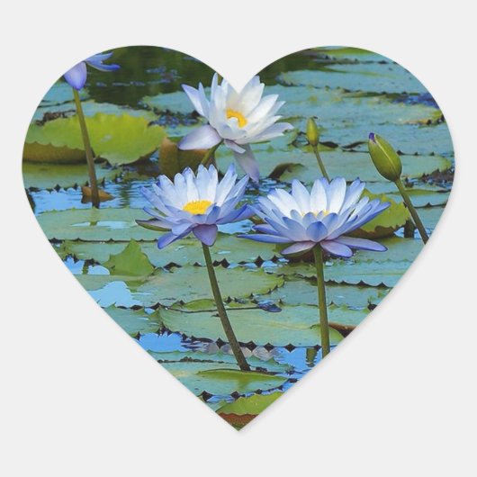 青い睡蓮のハートシール ハートシール (正面)