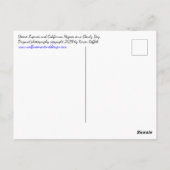 青い砂漠のルピネの花とオレンジポピー ポストカード (裏面)