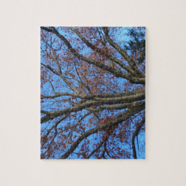 青い秋の空のオークの木 –  ジグソーパズル