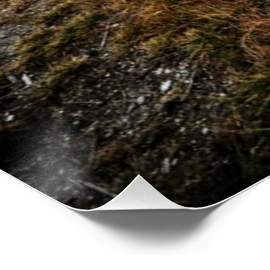 青い穴 ポスター (コーナー)