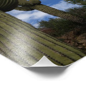 青い空と雲にサグアーロが3匹 フォトプリント            (角)