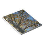 青い空に対して秋のシカモアの木 ノートパッド (アングル)