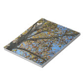 青い空に対して秋のシカモアの木 ノートパッド (回転)