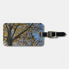 青い空に対して秋のシカモアの木 ラゲッジタグ