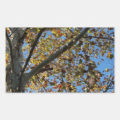 青い空に対して秋のシカモアの木 長方形シール (正面)