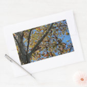 青い空に対して秋のシカモアの木 長方形シール (封筒)