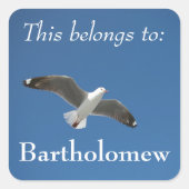 青い空のカモメの写真 スクエアシール (正面)