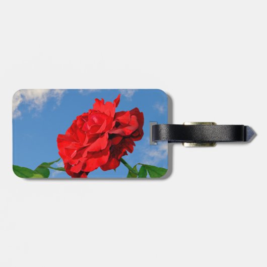 青い空のロザドンファン ラゲッジタグ (裏面横)