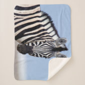 青い空の写真であなたを見ているゼブラ シェルパブランケット (正面)