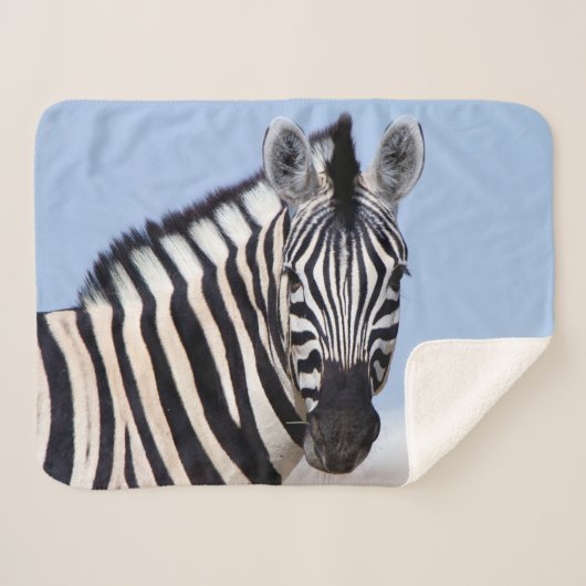 青い空の写真であなたを見ているゼブラ シェルパブランケット (正面(横))
