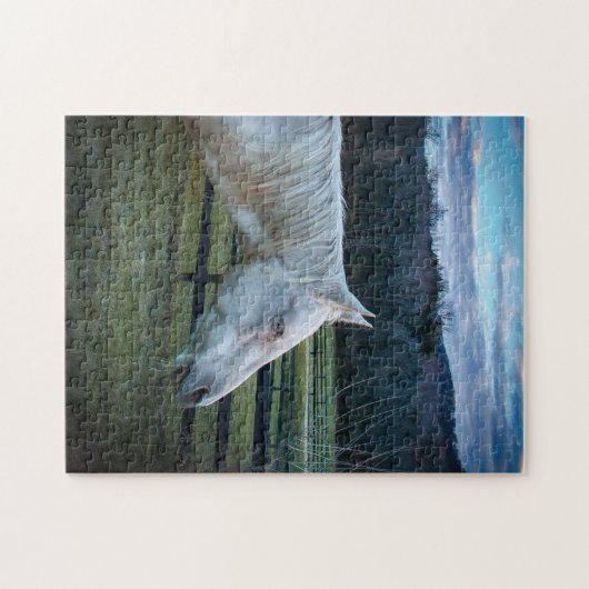 青い空の農場の白い馬パズル ジグソーパズル (横)