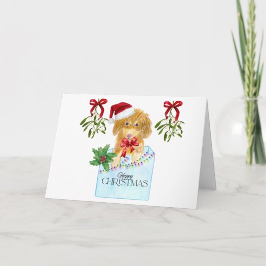 青い箱のクリスマスカードに入った犬 カード (正面)
