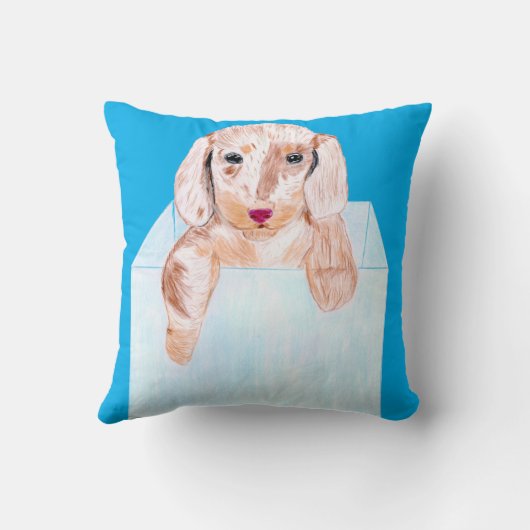 青い箱の可愛い犬 クッション (裏面)