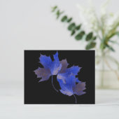 青い紅葉 ポストカード (スタンド正面)