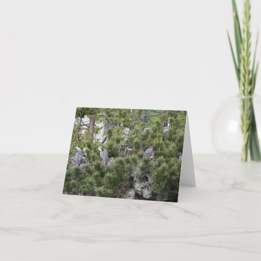 青い素晴らしサギの巣 カード (正面)