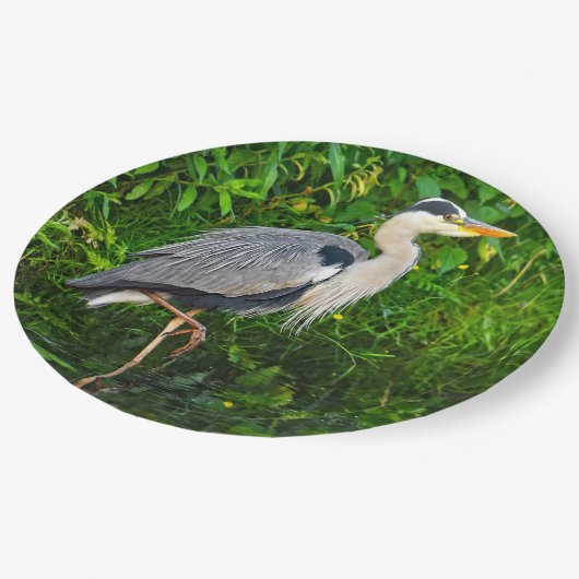 青い素晴らしヘロンの鳥の野生動物の写真 ペーパープレート (アングル)