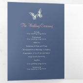 青い結婚サンゴ蝶の再生プログラム 三つ折りプログラム (内部最初)