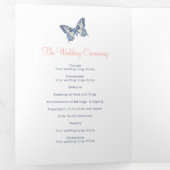 青い結婚サンゴ蝶の再生プログラム 三つ折りプログラム (内部最初)