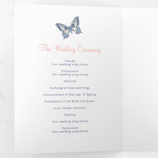 青い結婚サンゴ蝶の再生プログラム 三つ折りプログラム (内部最初)