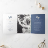 青い結婚サンゴ蝶の再生プログラム 三つ折りプログラム (内部)