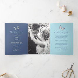 青い結婚蝶の再生プログラムシェード 三つ折りプログラム