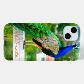青い緑の孔雀フォトスクリプ祝ト(Blue Green Peacock Photoモダン) Case-Mate iPhoneケース (裏面 (横))