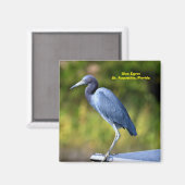 青い緑 マグネット (正面/裏面)