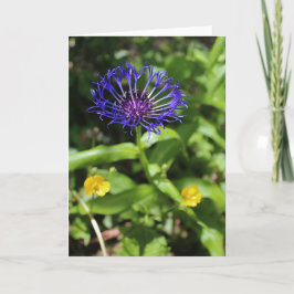 青い美しい カード