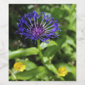 青い美しい ワインラベル (シングルラベル)