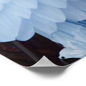 青い羽毛のドレスを持つプリンセス ポスター (角)