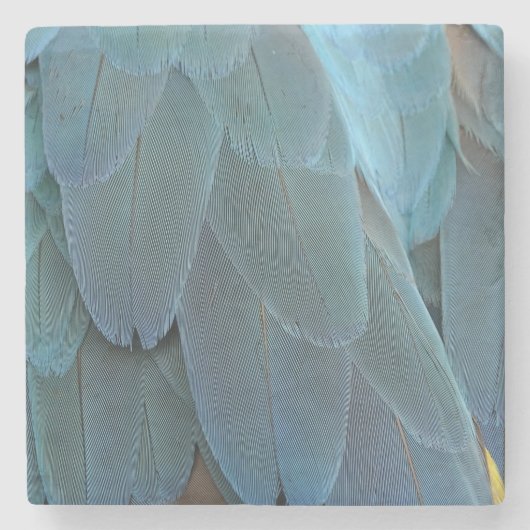 青い羽 ストーンコースター (正面)