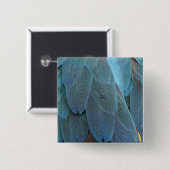 青い羽 缶バッジ (正面&裏面)