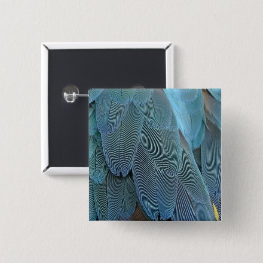 青い羽 缶バッジ (正面&裏面)