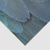 青い羽 薄葉紙 (詳細)