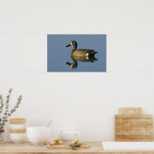 青い翼のティール(緑がかった色)、アナスのdiscors、男性、ポート ポスター (キッチン)