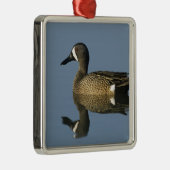 青い翼のティール(緑がかった色)、アナスのdiscors、男性、ポート メタルオーナメント (右)