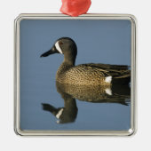 青い翼のティール（緑がかった色）、アナスのdiscors、男性、ポート メタルオーナメント (正面)