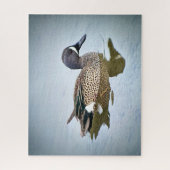 青い翼のティール(緑がかった色) ジグソーパズル (縦)