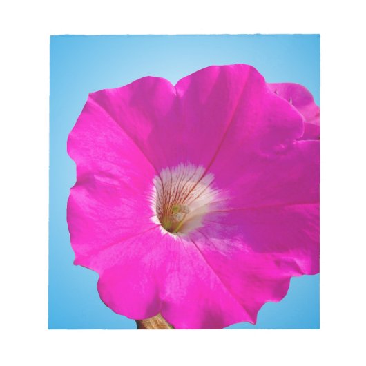 青い背景にピンクのペチュニアの花。 ノートパッド (正面)