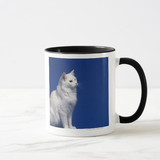 青い背景に対して坐っている猫 マグカップ (右)