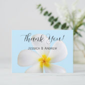 青い背景に白いプルメリア、トロピカル、フラワーリング サンキューカード (スタンド正面)