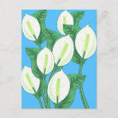 青い背景に白い平和淡い色ののユリ ポストカード (正面)