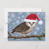 青い背景のクリスマスフクロウ シーズンカード (正面)