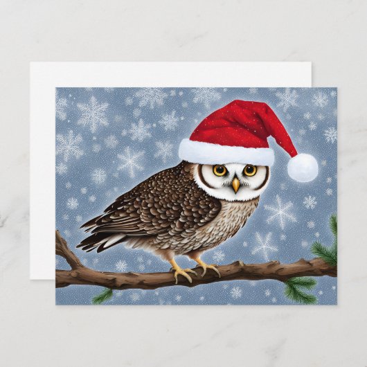 青い背景のクリスマスフクロウ シーズンカード (正面/裏面)