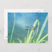 青い背景のトンボ ポストカード (正面/裏面)