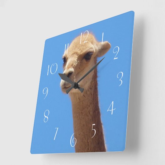 青い背景のヴィクーニャの自己像 スクエア壁時計 (傾斜)